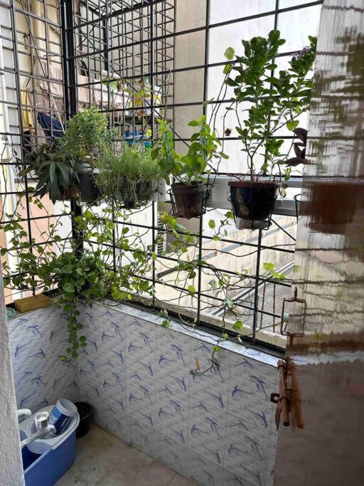 Jmj Residency Villa Хидерабад Екстериор снимка